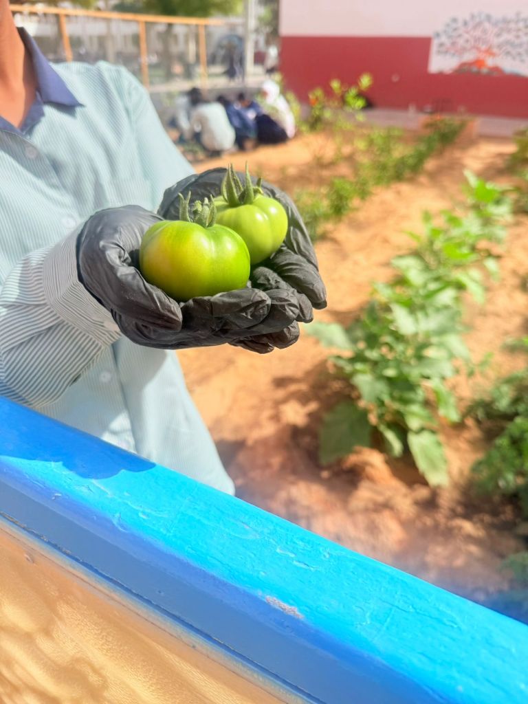 Garden & Outdoor Learning